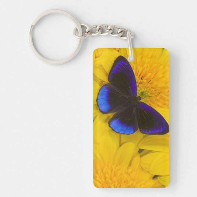 Photograph of Butterfly Keychain (Front)