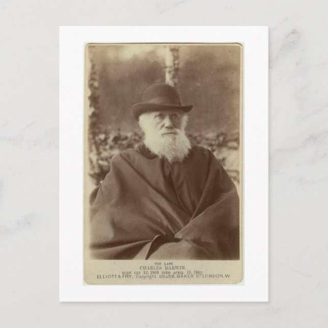 Photograph of Charles Darwin, 29 November 1881 Postcard (Front)