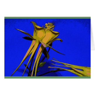 Photograph of yellow columbine