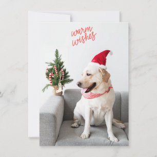 Photograph Warm Wishes with Custom Rear Text Holiday Card