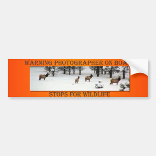 Photographer On Board Elk Orange Bumper Sticker