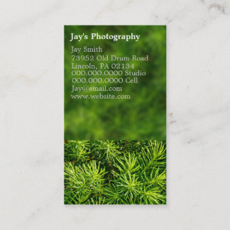 Photographes de la nature Carte de visite