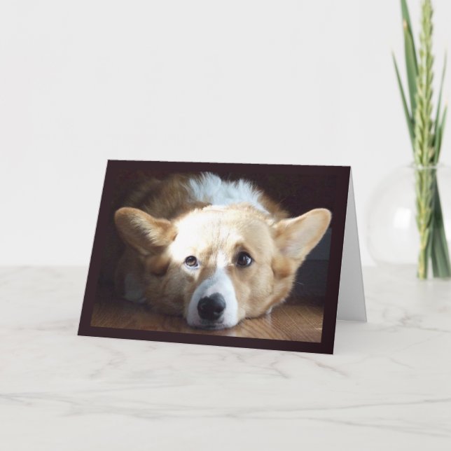 Photographic Art Corgi Card (Front)
