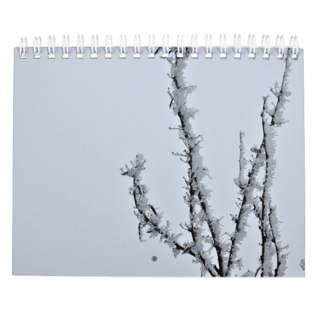 photographic calendar (Back)