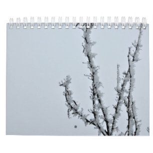 photographic calendar