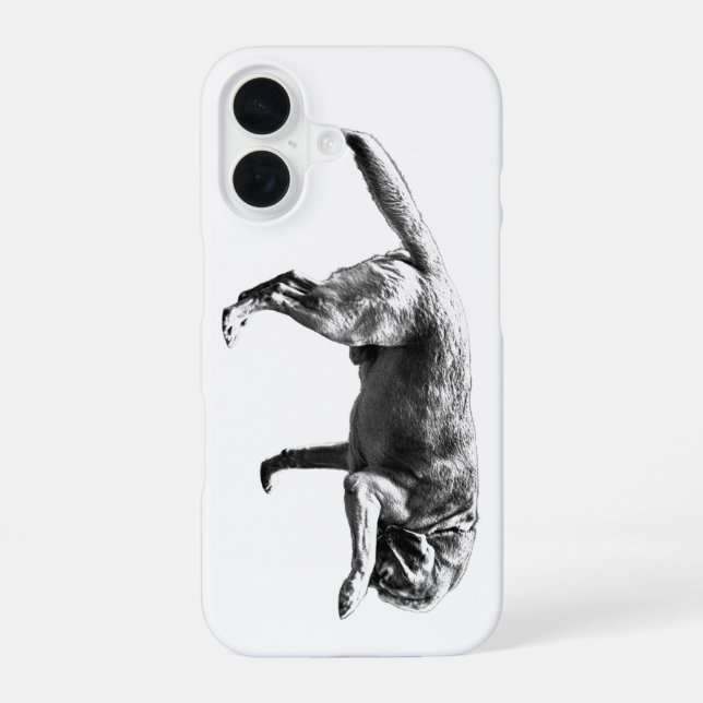 Photographic Charm iPhone 16 Case (Back)
