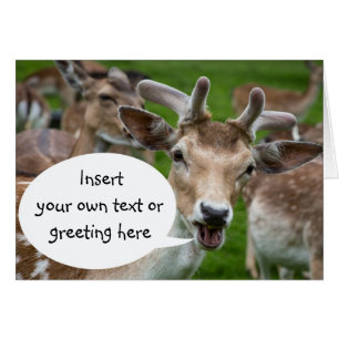 Photographic image of deer with speech bubble