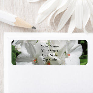 Photographie à fleurs de géranium blanc
