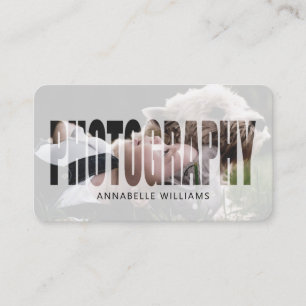 Photographie Carte de visite photo moderne