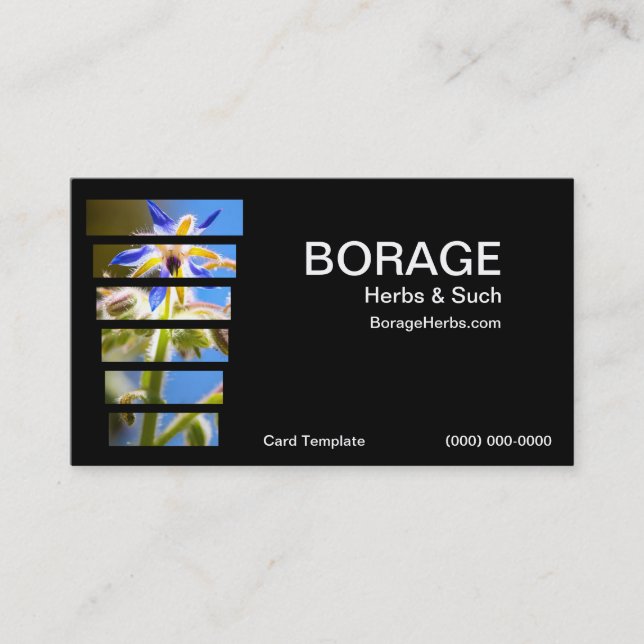 Photographie cartes de visite de l'herbe de Borage (Devant)