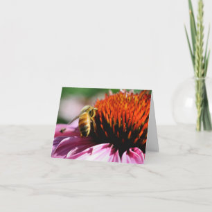 Photographie d'abeille sur fleur
