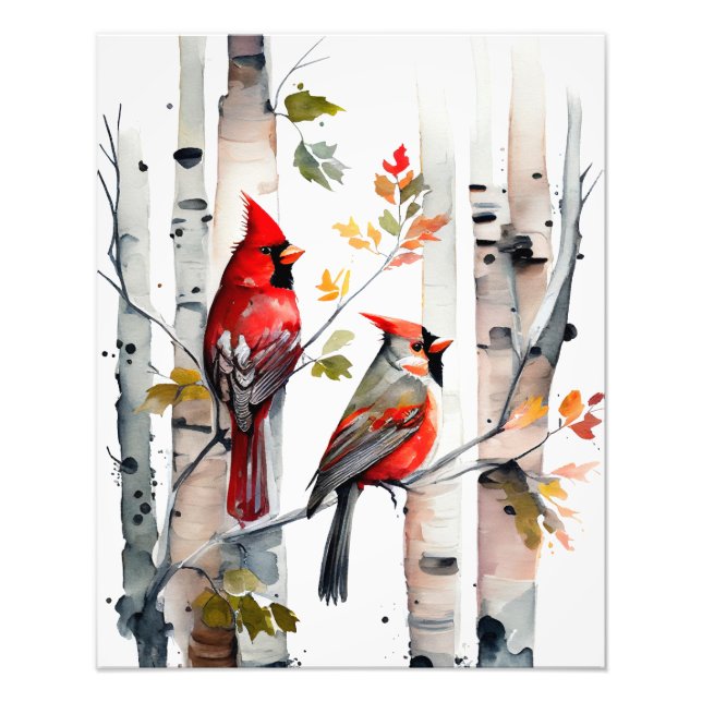 Photographie de Birch Tree et Cardinals (Devant)