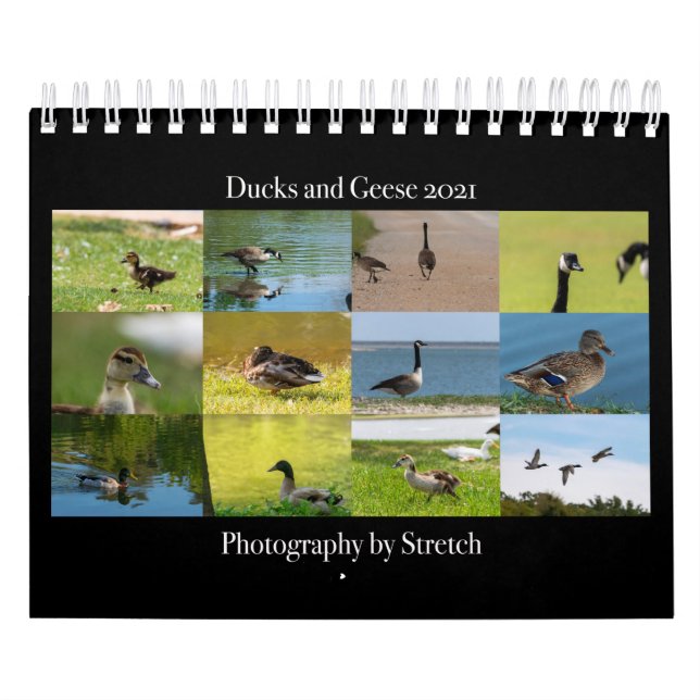 Photographie de Canards et d'Oies Calendrier 2021 (Protection)