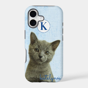 Photographie de chaton mignon bleu à cache-cache a