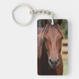 Photographie de cheval sur porte - clé