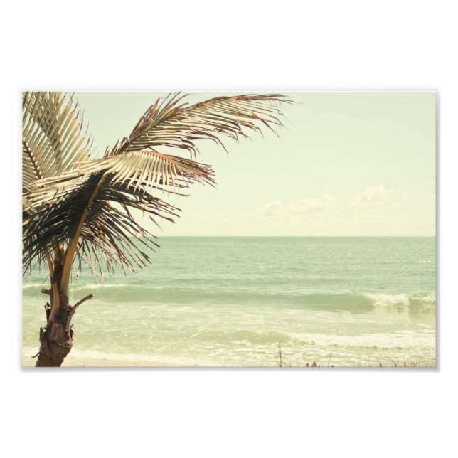 Photographie de Coconut Palm et Pastel Beach (Devant)