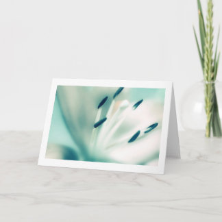 Photographie de fleur de Lily, cartes spéciales d'