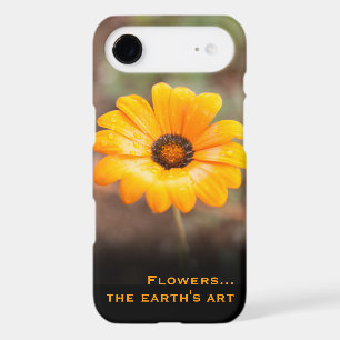 Photographie de fond Orange Daisy personnalisée