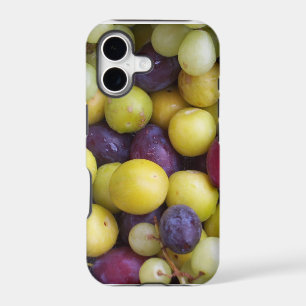 Photographie de fruits d'automne, prunes raisins r