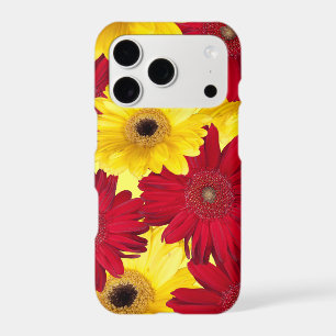 Photographie de gros plan de fleurs de Marguerite