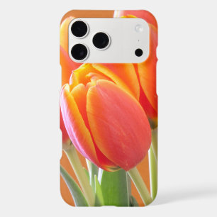 Photographie de gros plan de fleurs de tulipes ora