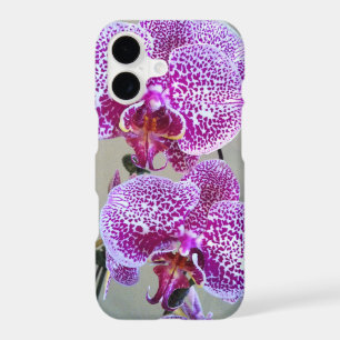 Photographie de gros plan d'orchidée violette et b