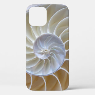 Photographie de la coque de la mer de Nautilus