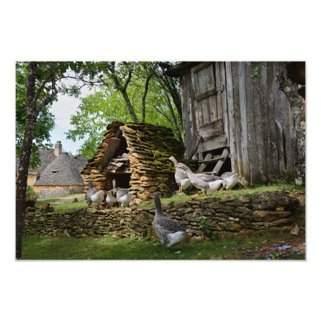 Photographie de la ferme d'oies de foie gras tradi (Devant)