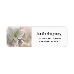 Photographie de la Fleur de Pommier Blanche