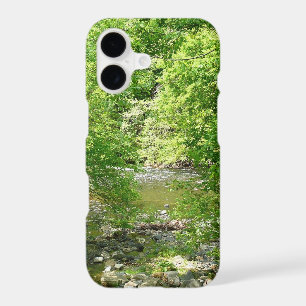 Photographie de la nature dans le Maryland vue sur