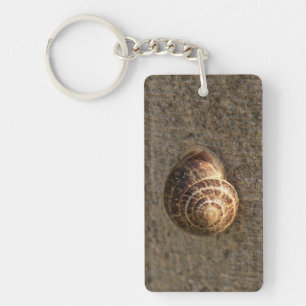 Photographie de la nature d'un escargot de jardin