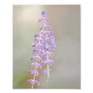 Photographie de la page russe