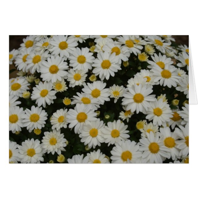 Photographie de nature (Devant horizontal)