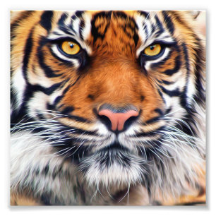 Photographie de Peinture de tigre de Sibérie
