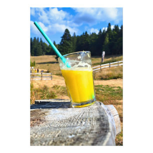 Photographie de plein air au jus d'orange – Forêt 