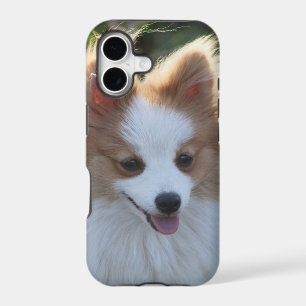 Photographie de portrait de chien Spitz Poméranien