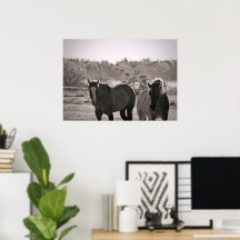 Photographie de poster de cheval