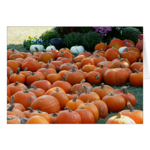 Photographie de récolte d'automne des citrouilles 