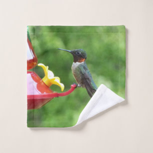 Photographie d'oiseau Colibri à gorge rubis