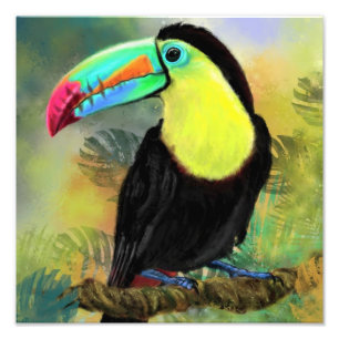 Photographie d'oiseau tropical Toco Toucan - Peint