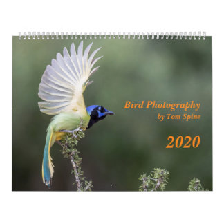 Photographie d'oiseaux par Tom Spine, Calendrier 2