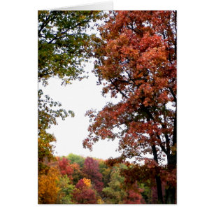 Photographie du paysage d'automne