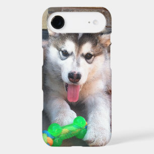 Photographie d'un adorable chiot Malamute d'Alaska