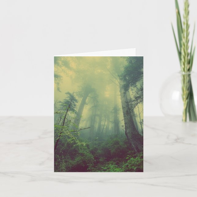 PHOTOGRAPHIE FORESTIÈRE CARTES D'ANNIVERSAIRE (Devant)