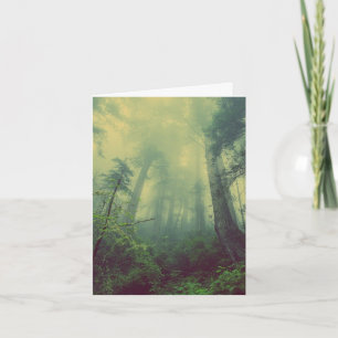 PHOTOGRAPHIE FORESTIÈRE CARTES D'ANNIVERSAIRE