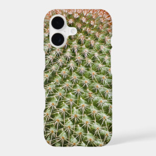 Photographie Macro de Cactus