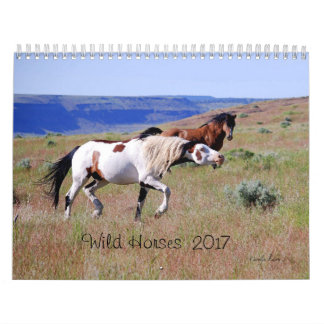 Photographie par le calendrier de cheval sauvage