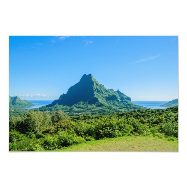 Photographie vert tropical Moorea (Devant)