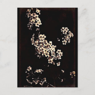 Photographie Vintage carte postale-Charles Aubry 2