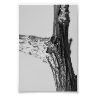 Photographie Y8 4x6 noir et blanc de lettre